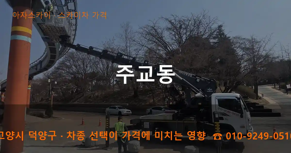 고양시 덕양구 주교동 스카이차 가격 작업