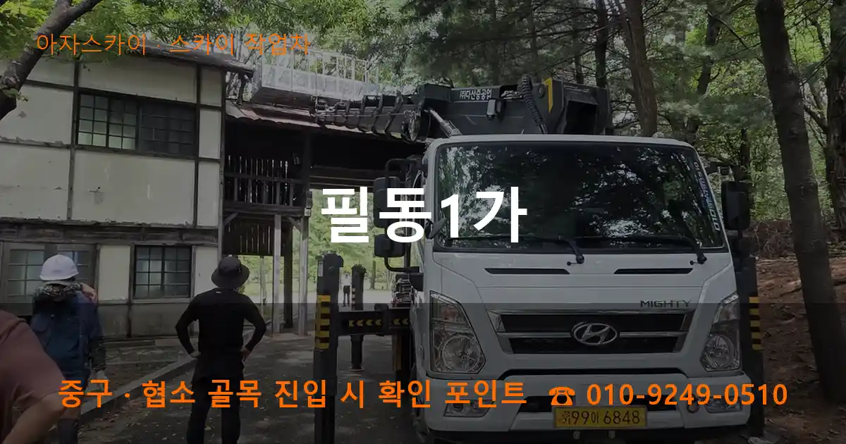 중구 필동1가 스카이 작업차 작업