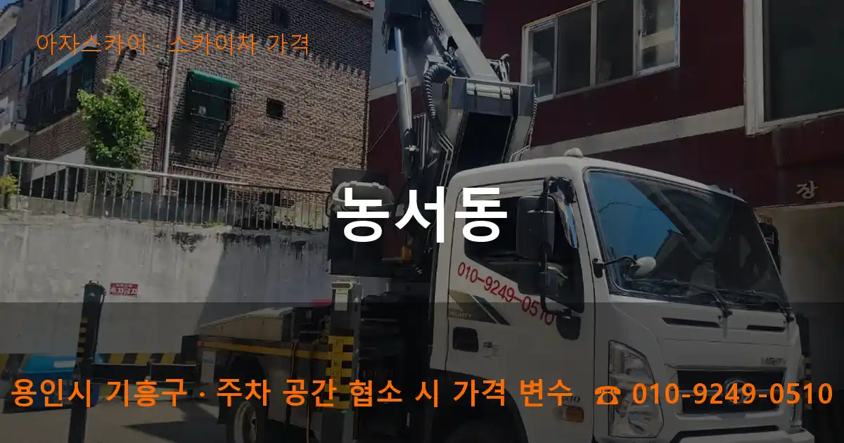 용인시 기흥구 농서동 스카이차 가격 작업