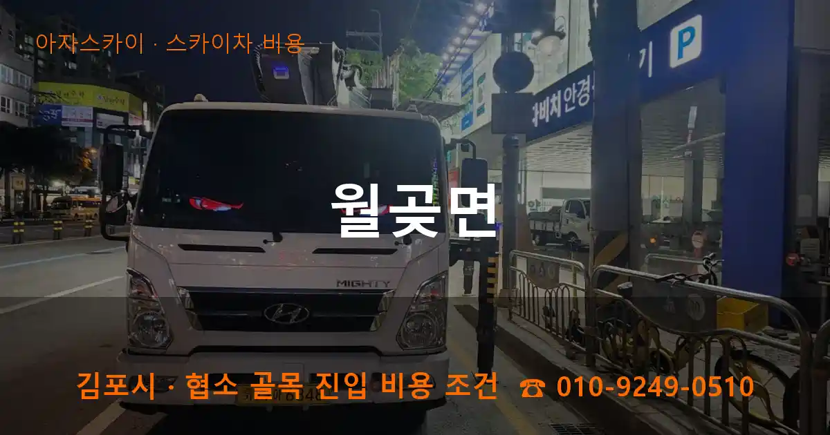 김포시 월곶면 스카이차 비용 작업