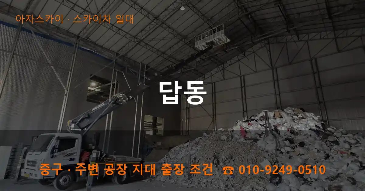 중구 답동 스카이차 출장 작업
