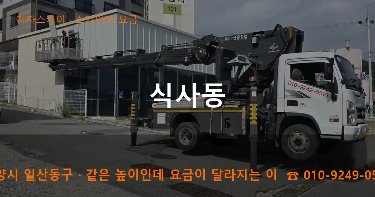 고양시 일산동구 식사동 스카이차 요금 작업