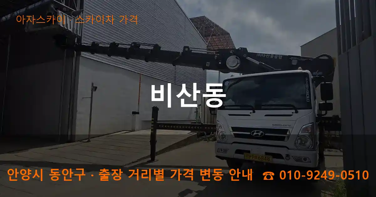 안양 동안구 비산동 스카이차 가격 작업