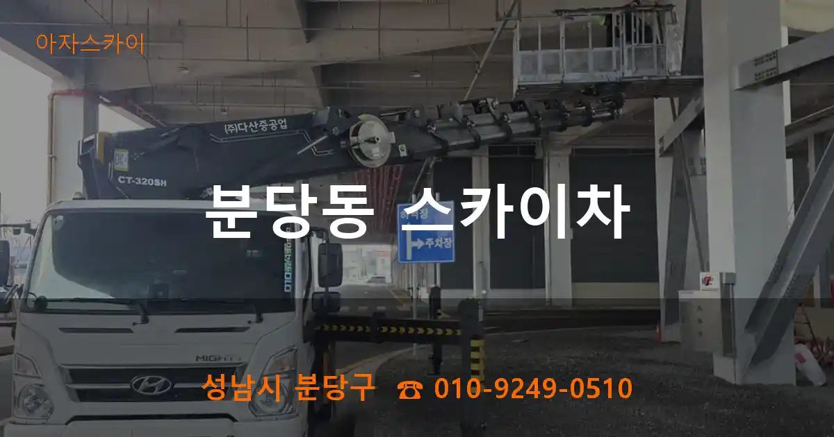 성남시 분당구 분당동 스카이차