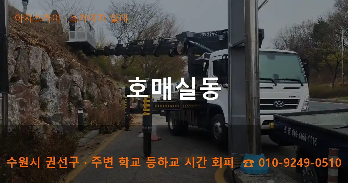 수원시 권선구 호매실동 스카이차 출장 작업