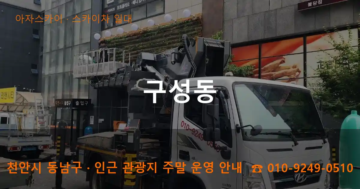 천안 동남구 구성동 스카이차 일대 작업