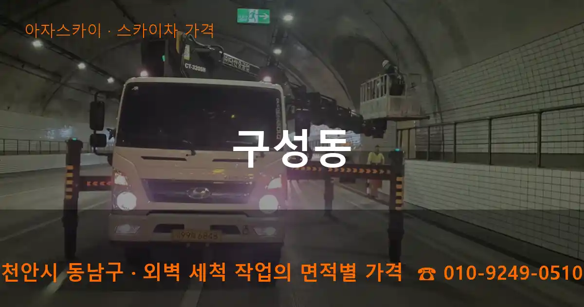 천안시 동남구 구성동 스카이차 가격 작업