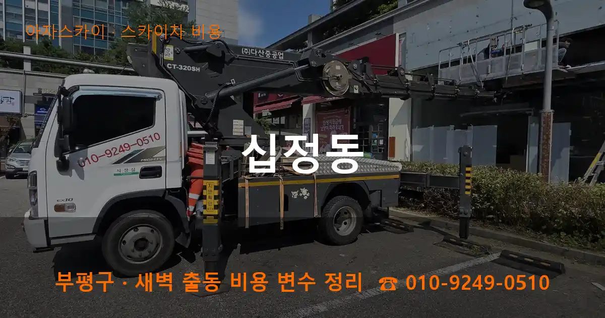 부평구 십정동 스카이차 비용 작업