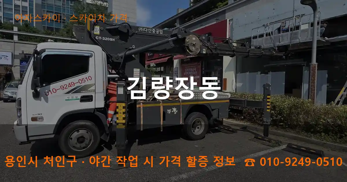 용인시 처인구 김량장동 스카이차 가격 작업