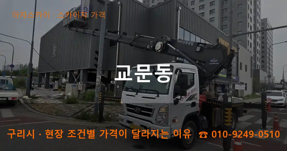 구리시 교문동 스카이차 가격 작업