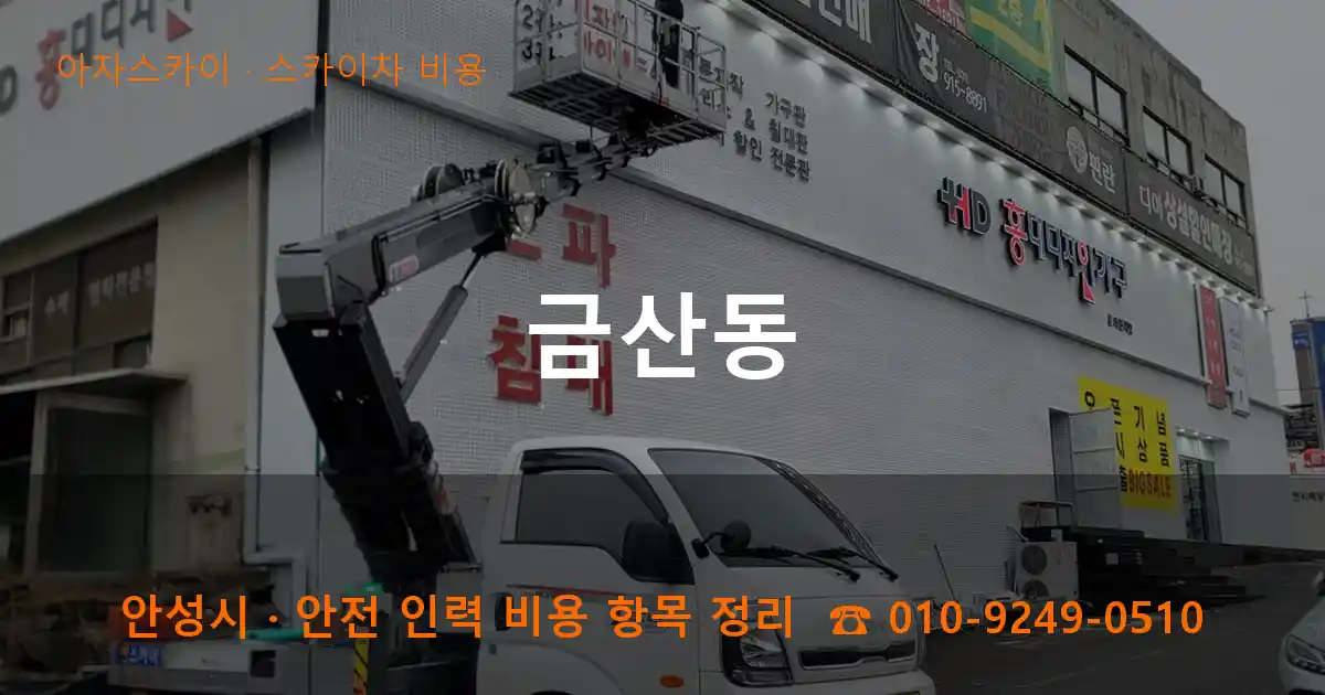 안성 금산동 스카이차 비용 작업