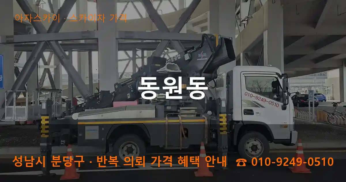 성남 분당구 동원동 스카이차 가격 작업