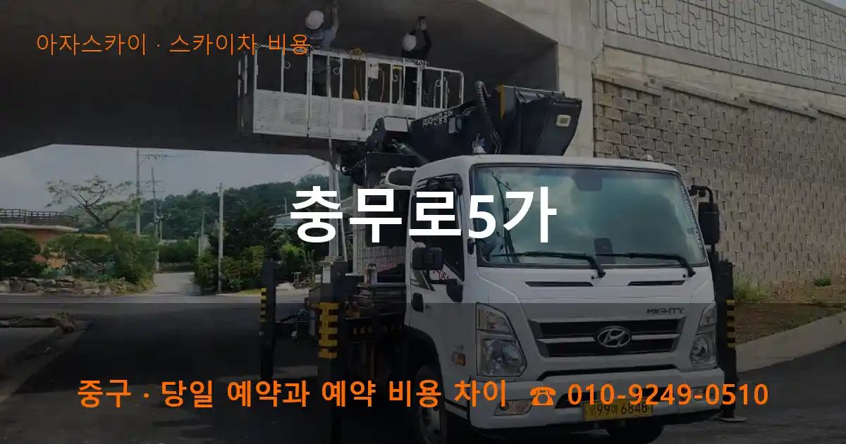 중구 충무로5가 스카이차 비용 작업
