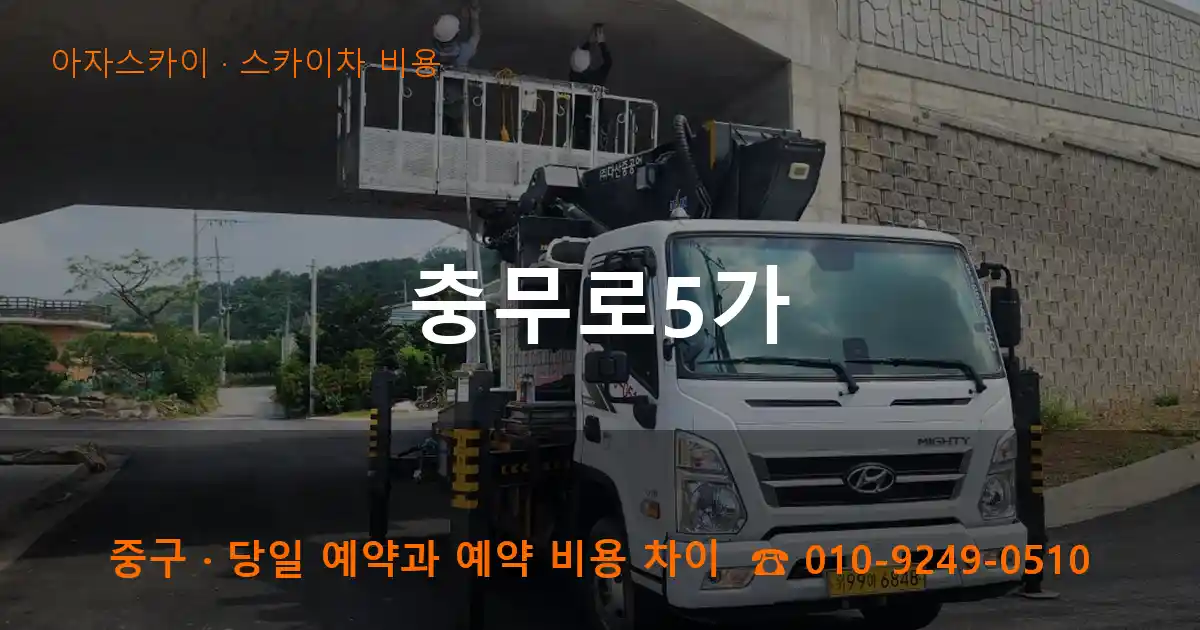 중구 충무로5가 스카이차 비용 작업