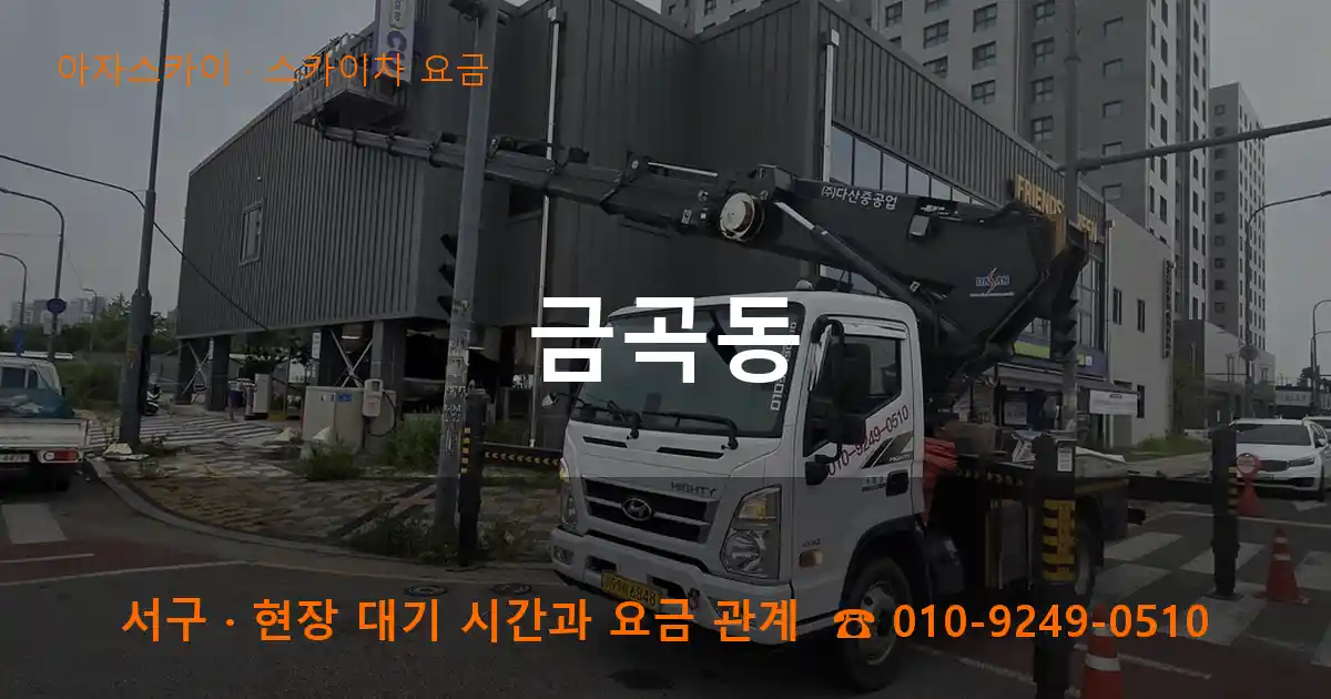 서구 금곡동 스카이차 요금 작업
