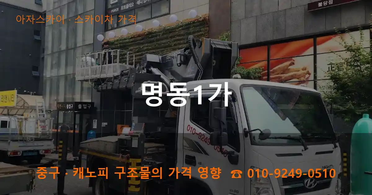 중구 명동1가 스카이차 가격 작업