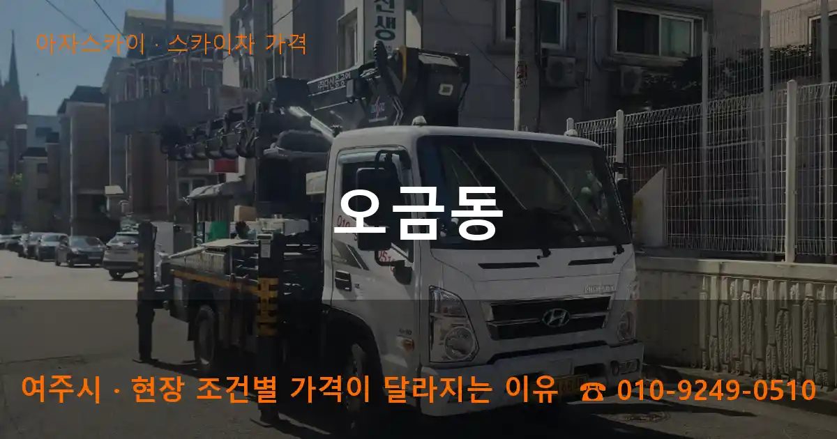 여주시 오금동 스카이차 가격 작업
