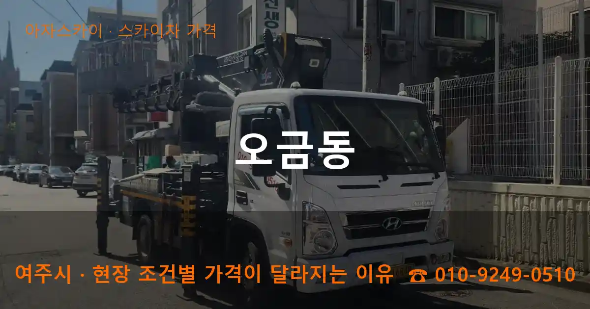 여주시 오금동 스카이차 가격 작업