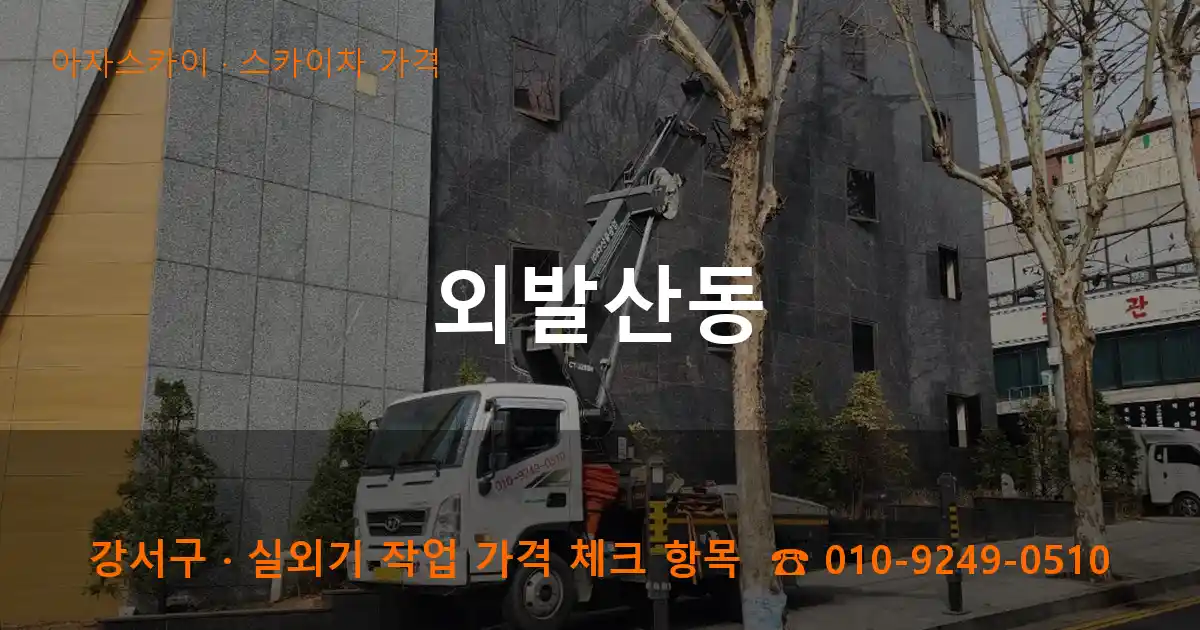 강서구 외발산동 스카이차 가격 작업
