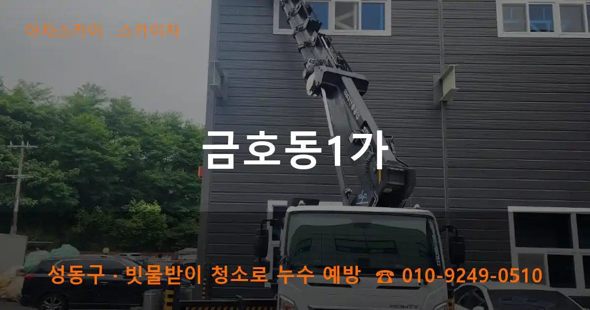 성동구 금호동1가 스카이차 작업