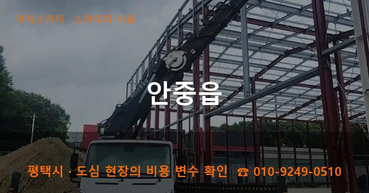 평택시 안중읍 스카이차 비용 작업