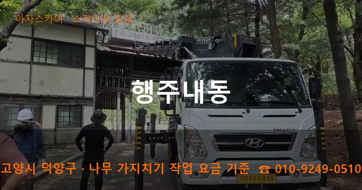 고양시 덕양구 행주내동 스카이차 요금 작업