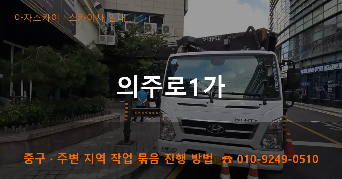 중구 의주로1가 스카이차 일대 작업