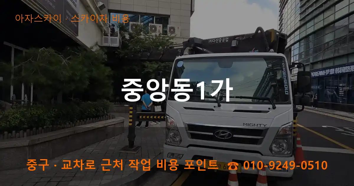 중구 중앙동1가 스카이차 비용 작업