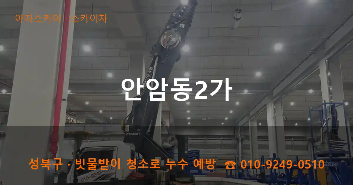 성북구 안암동2가 스카이차 작업