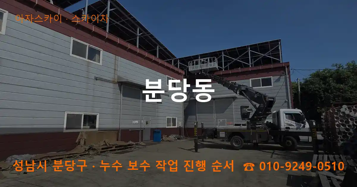 성남 분당구 분당동 스카이차 작업