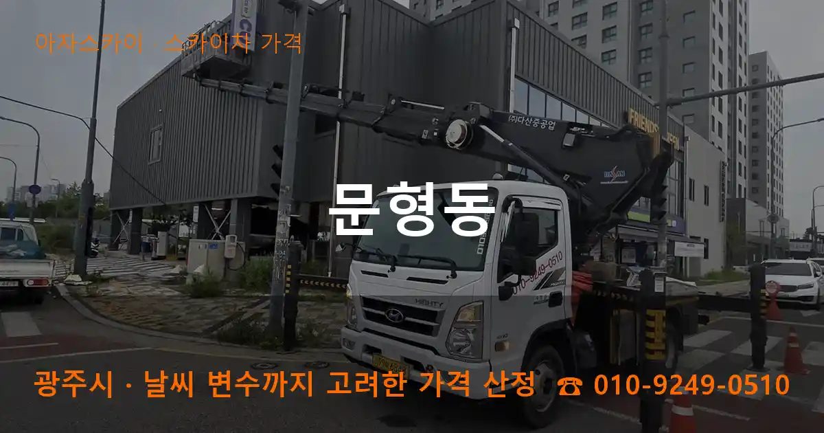광주시 문형동 스카이차 가격 작업