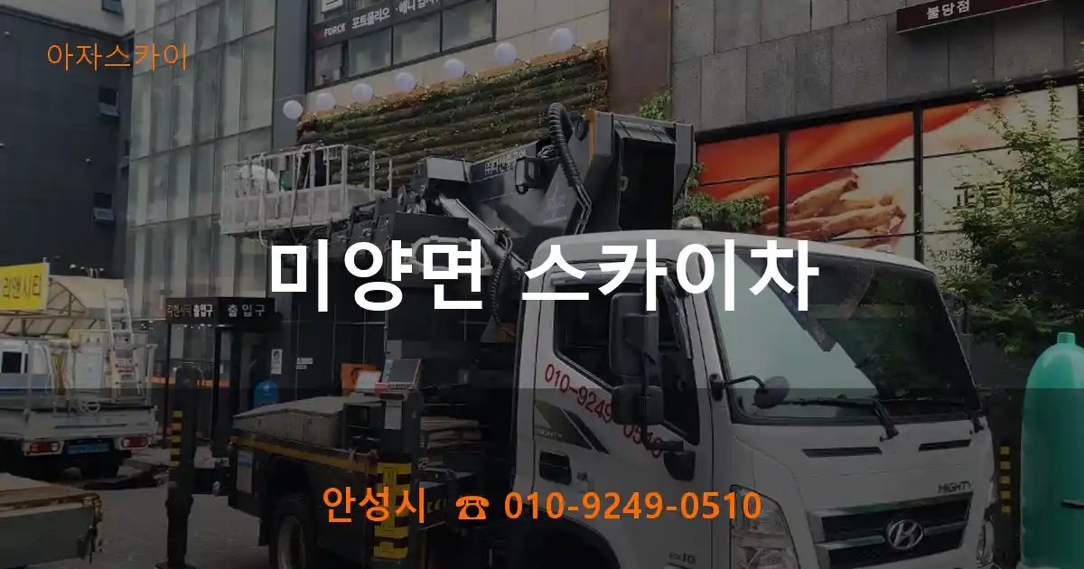 안성시 미양면 스카이차