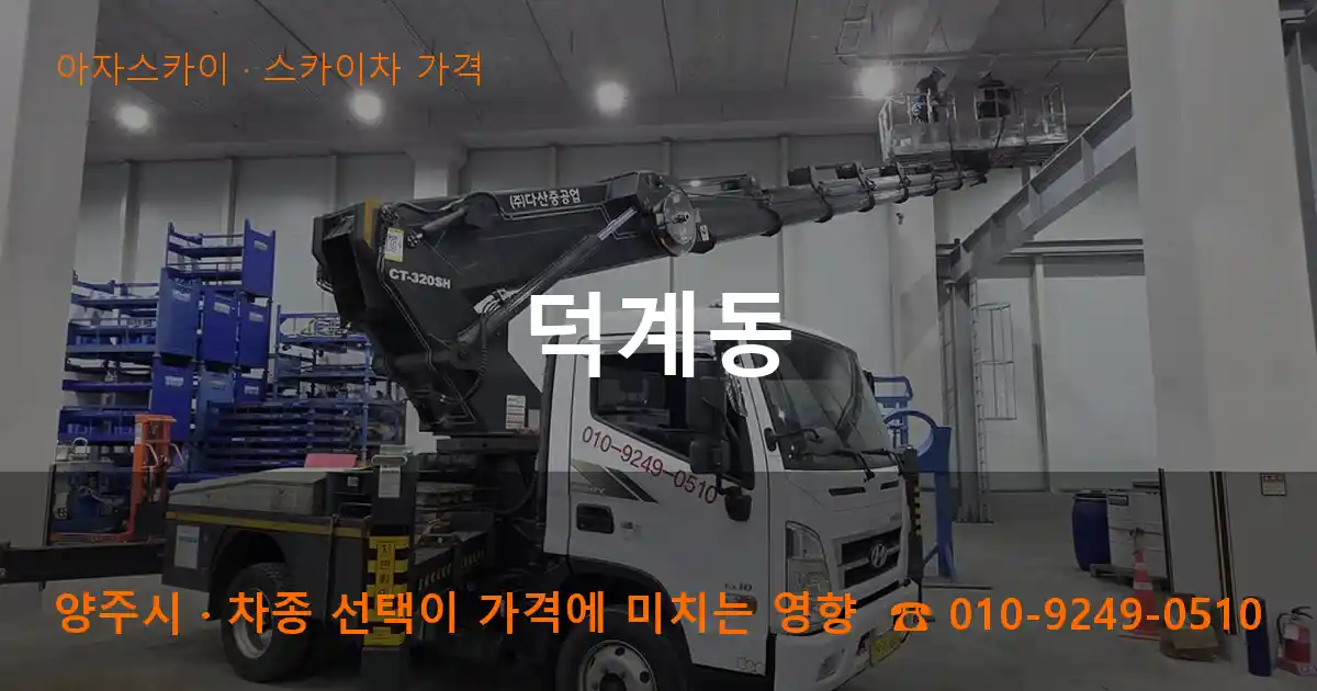 양주시 덕계동 스카이차 가격 작업