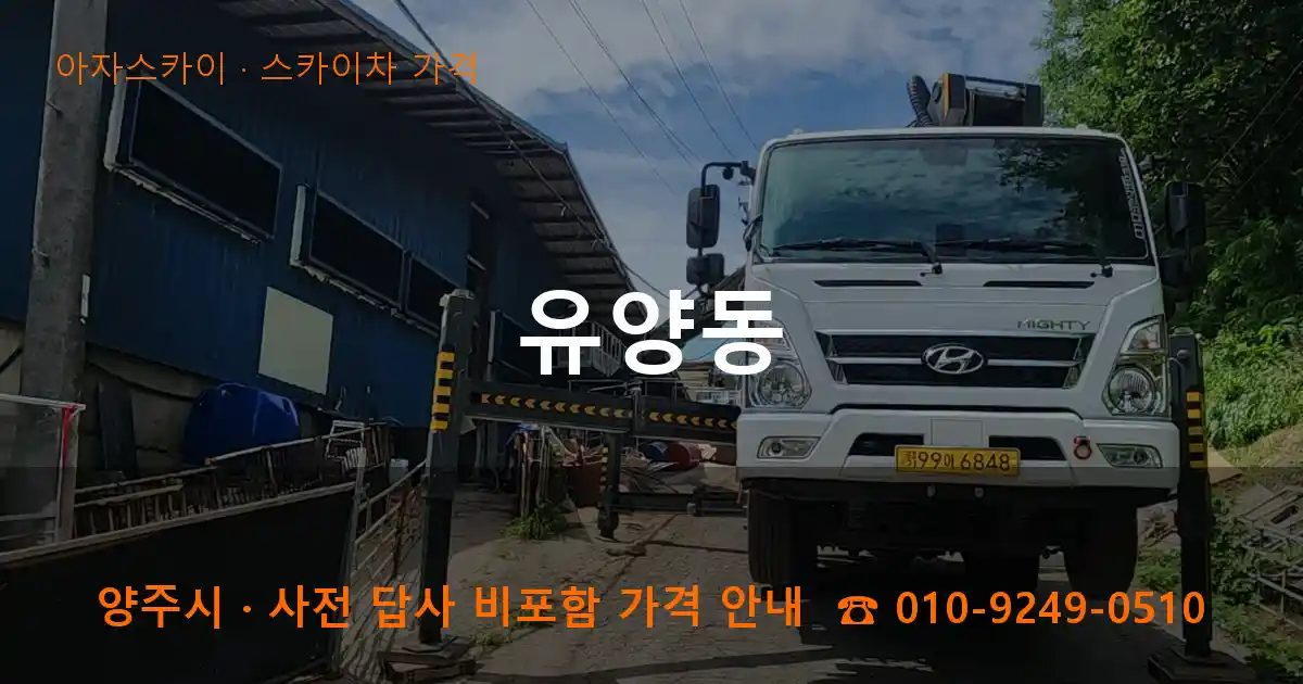 양주시 유양동 스카이차 가격 작업