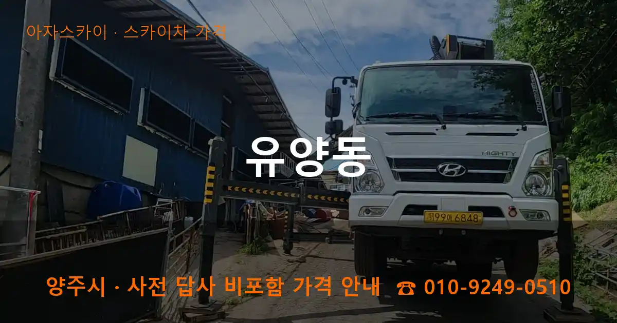 양주 유양동 스카이차 가격 작업