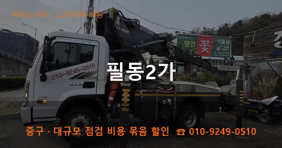 중구 필동2가 스카이차 비용 작업