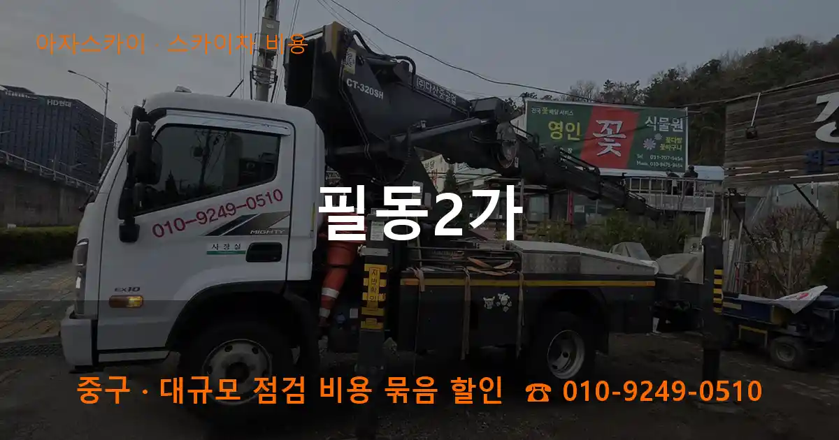 중구 필동2가 스카이차 비용 작업