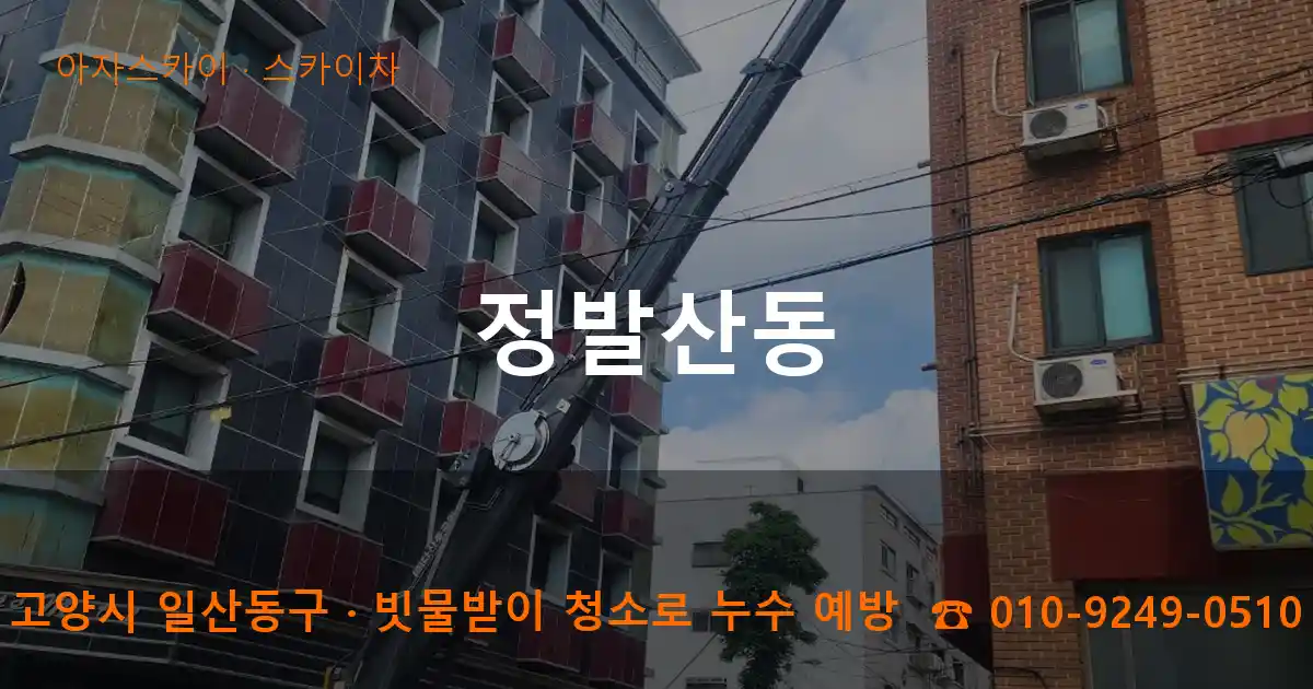 고양시 일산동구 정발산동 스카이차 작업