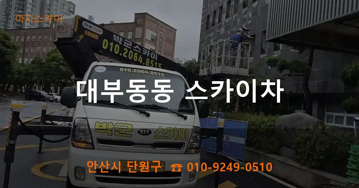 안산시 단원구 대부동동 스카이차