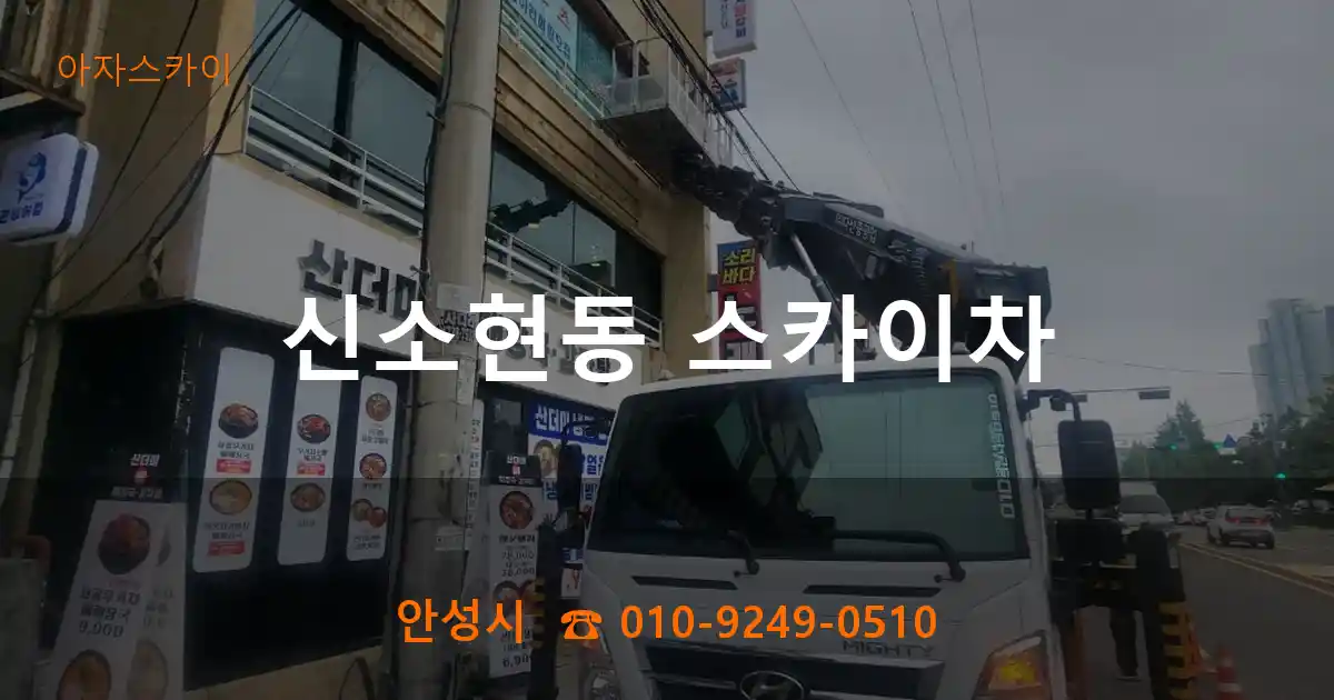 안성시 신소현동 스카이차