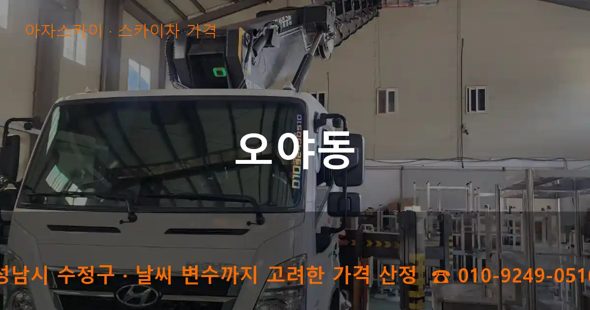 성남시 수정구 오야동 스카이차 가격 작업