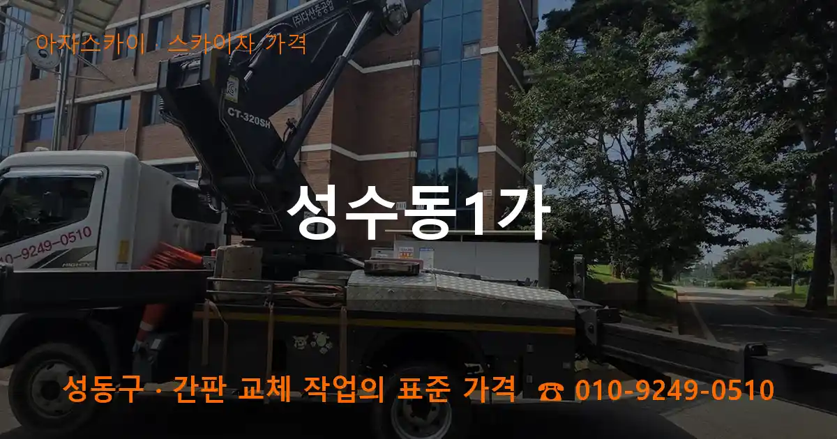 성동구 성수동1가 스카이차 가격 작업