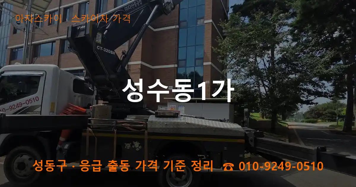 성동구 성수동1가 스카이차 가격 작업