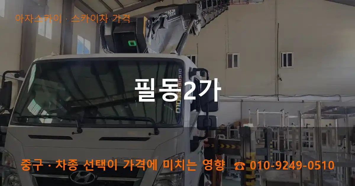 중구 필동2가 스카이차 가격 작업