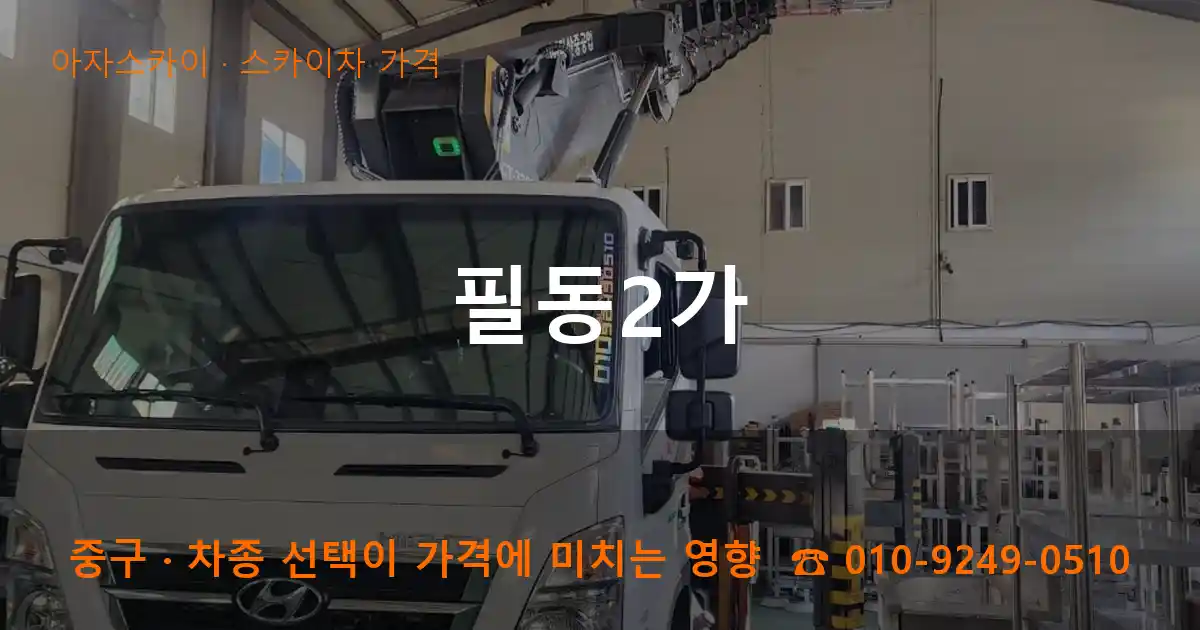 중구 필동2가 스카이차 가격 작업