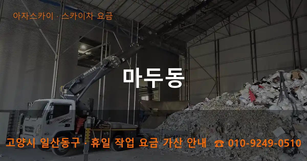 고양시 일산동구 마두동 스카이차 요금 작업