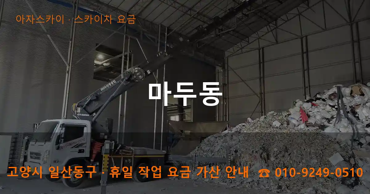 고양 일산동구 마두동 스카이차 요금 작업