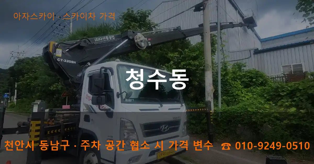 천안시 동남구 청수동 스카이차 가격 작업