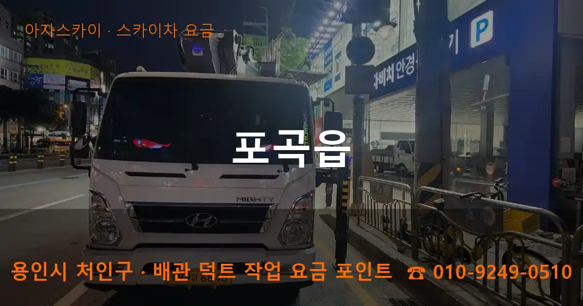 용인시 처인구 포곡읍 스카이차 요금 작업