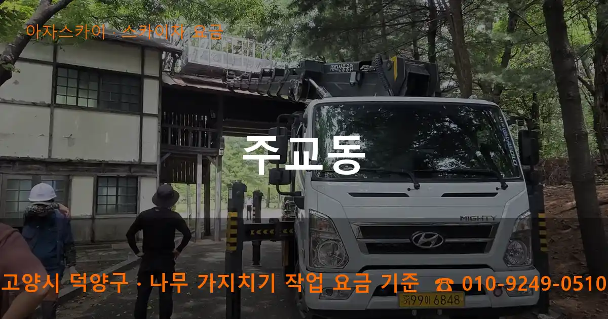 고양시 덕양구 주교동 스카이차 요금 작업